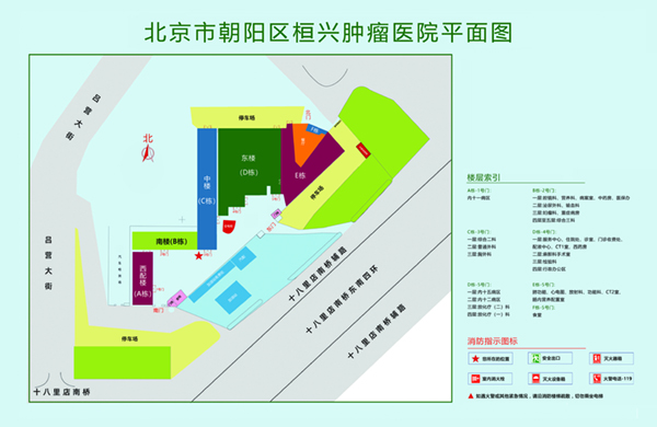 麻酥酥骚逼逼北京市朝阳区桓兴肿瘤医院平面图